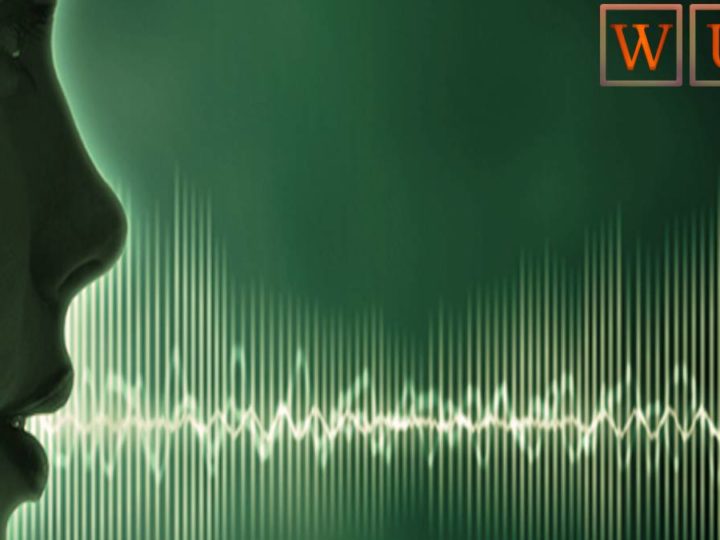 Voice Biometrics – What Is It?