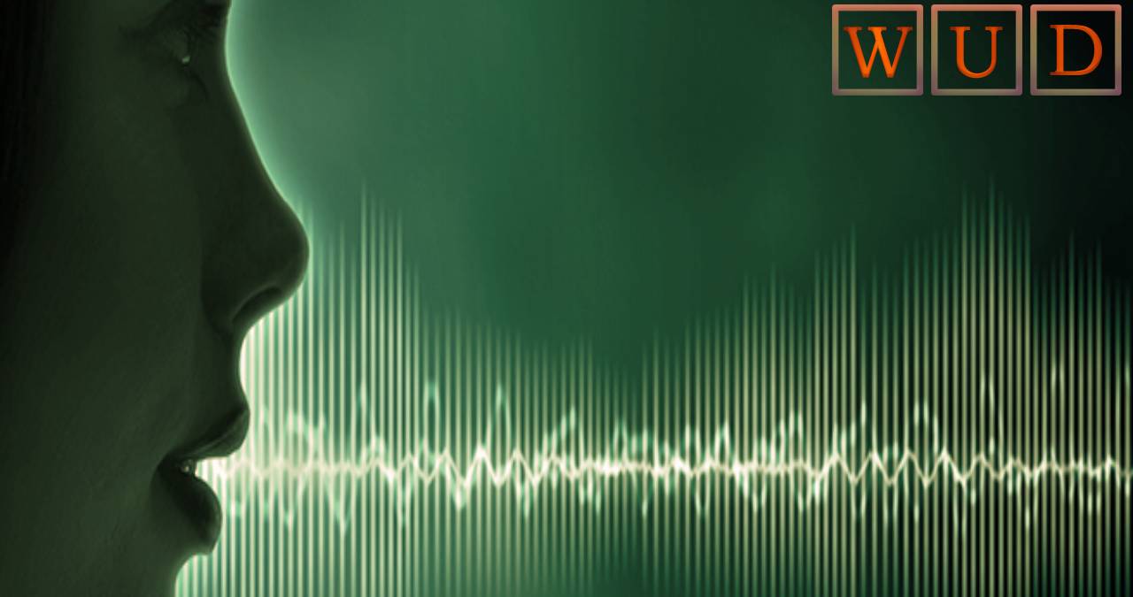 Voice Biometrics – What Is It?