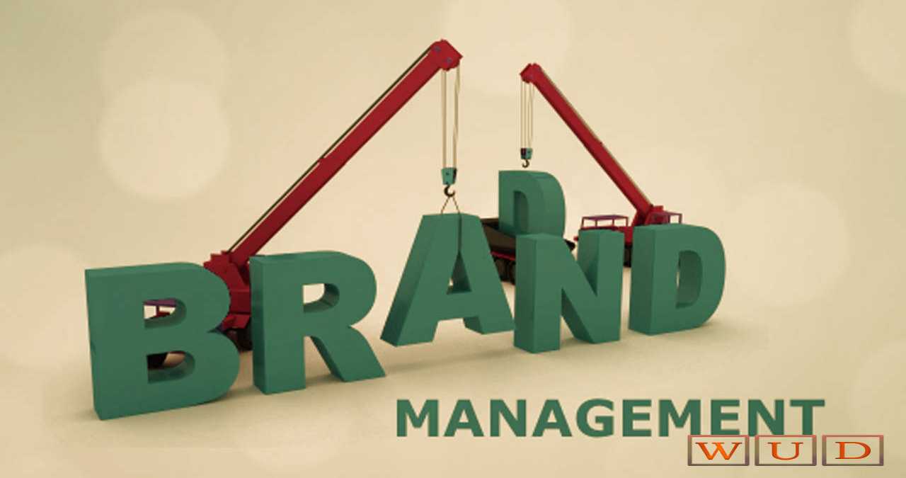 Basic Tips To Manage Your Brand Yourself