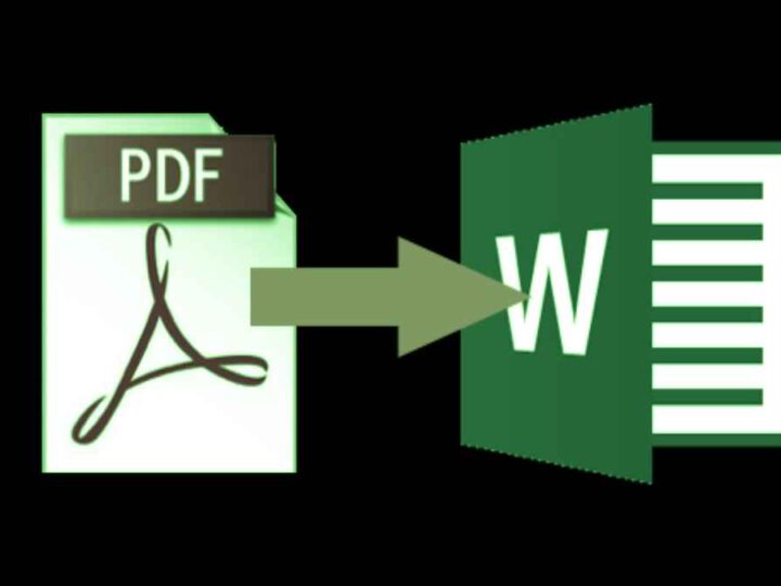 3 Quick Steps To Convert PDF to Word Through The Help of PDF Bear