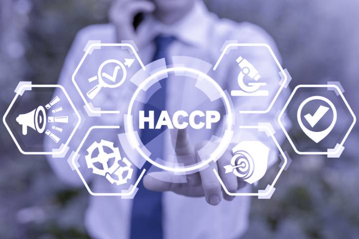 What Is a HACCP Plan? A Guide to Food Safety