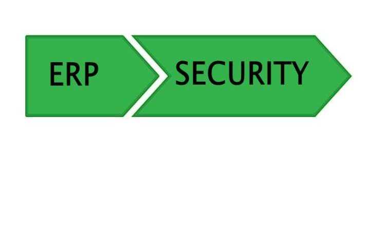 ERP Security Managed Services To Control Risks