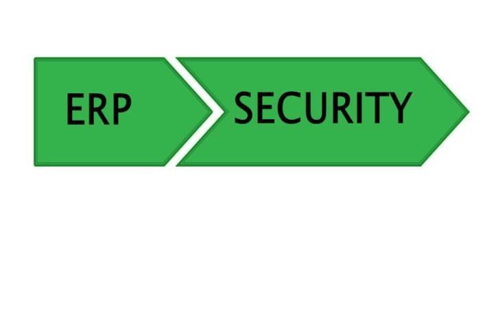 ERP Security Managed Services To Control Risks