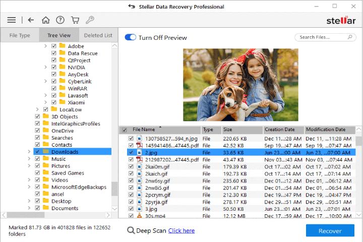 Stellar Data Recovery Professional For Windows (3)