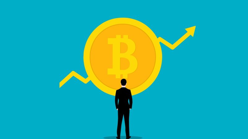 Bitcoin Supply and Inflation Dynamics Every Investor Should Know