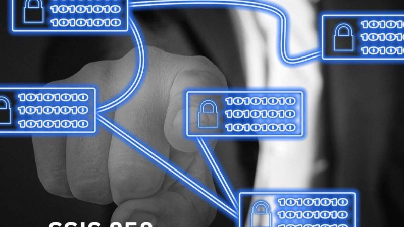 SSIS 858 – A Tool For Data Integration & ETL Processes For Businesses
