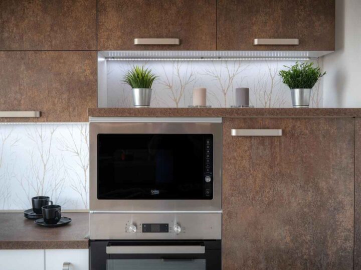 Convection vs Solo Microwave Ovens: Which One Should You Buy in 2025?