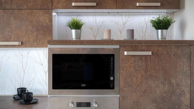 Convection vs Solo Microwave Ovens: Which One Should You Buy in 2025?